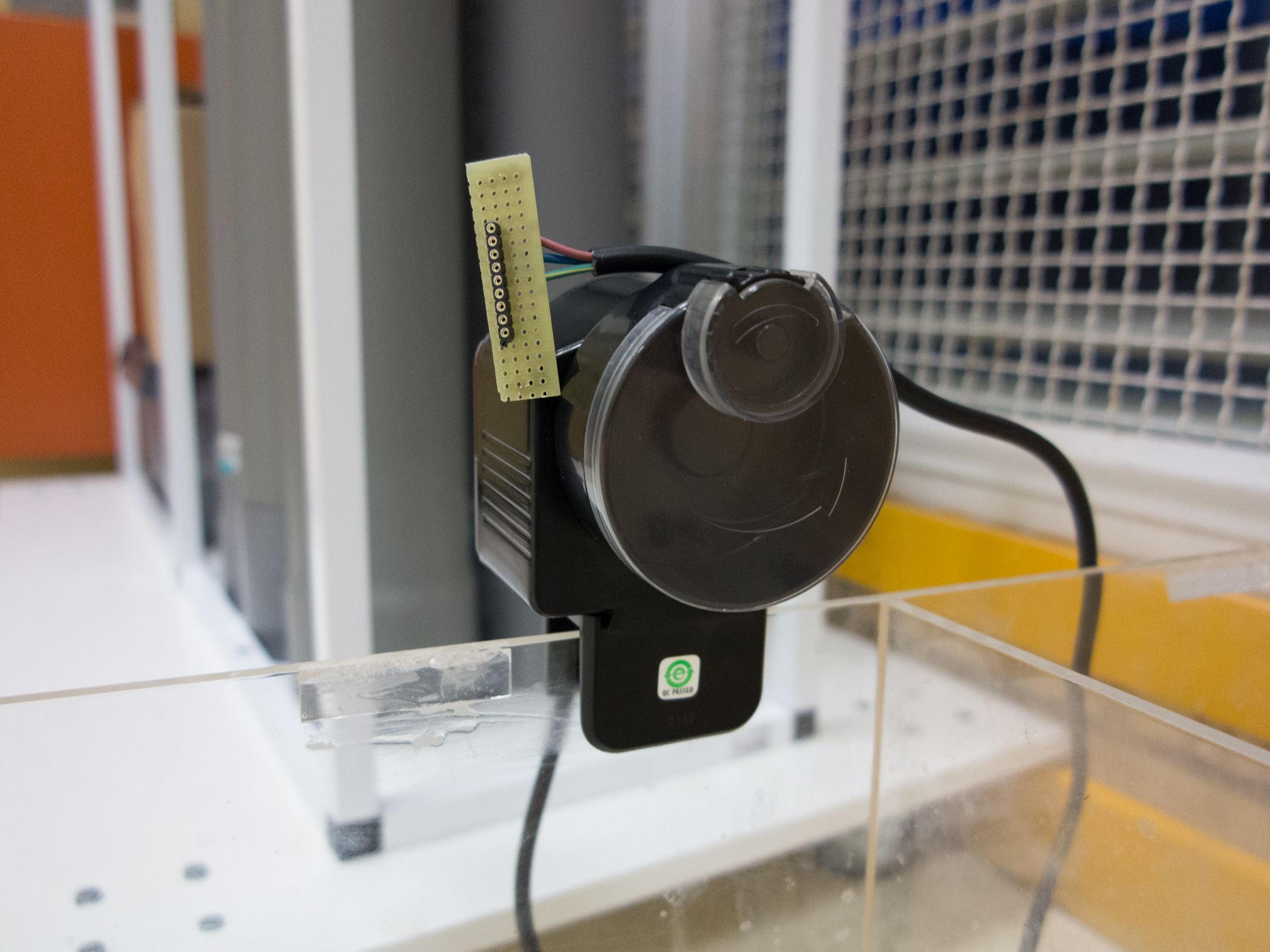 20170210 JdL Hidropónico 028.jpg